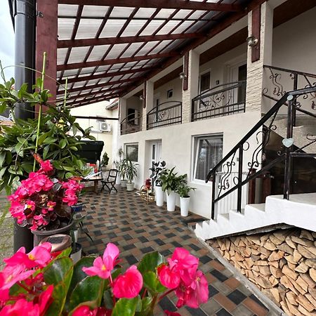 Casa Rio Hotel Segesvár Kültér fotó