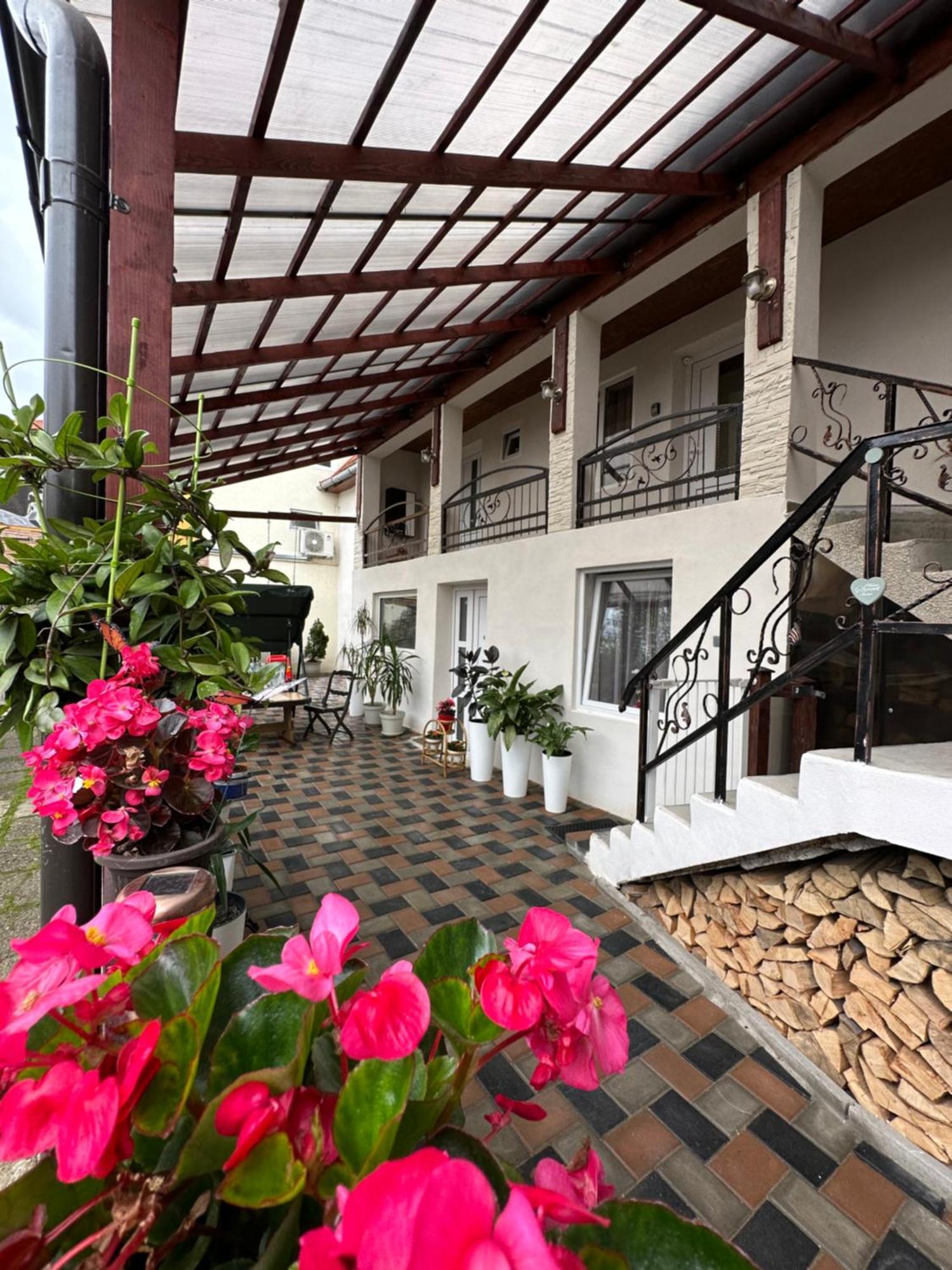 Casa Rio Hotel Segesvár Kültér fotó